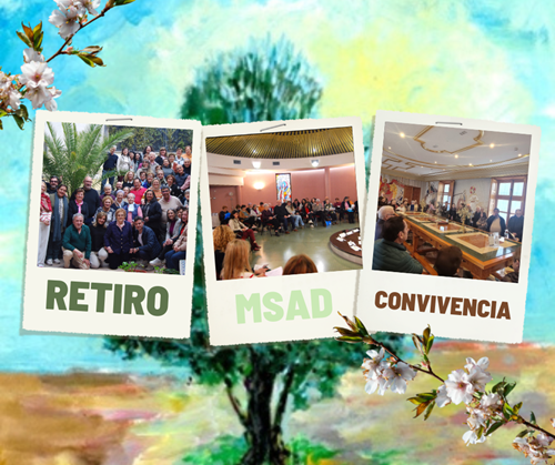 MSADRETIRO